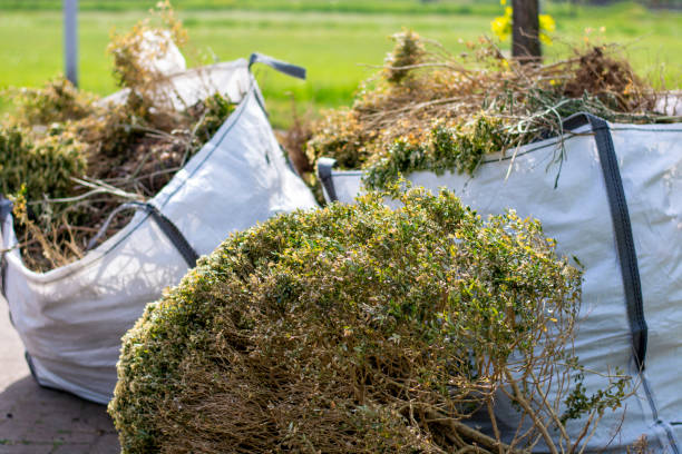 Best Commercial Junk Removal  in Kaaawa, HI